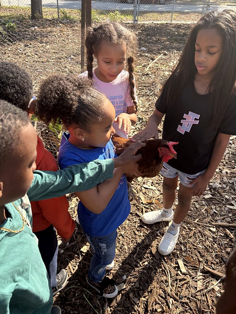 Children visiting a farm