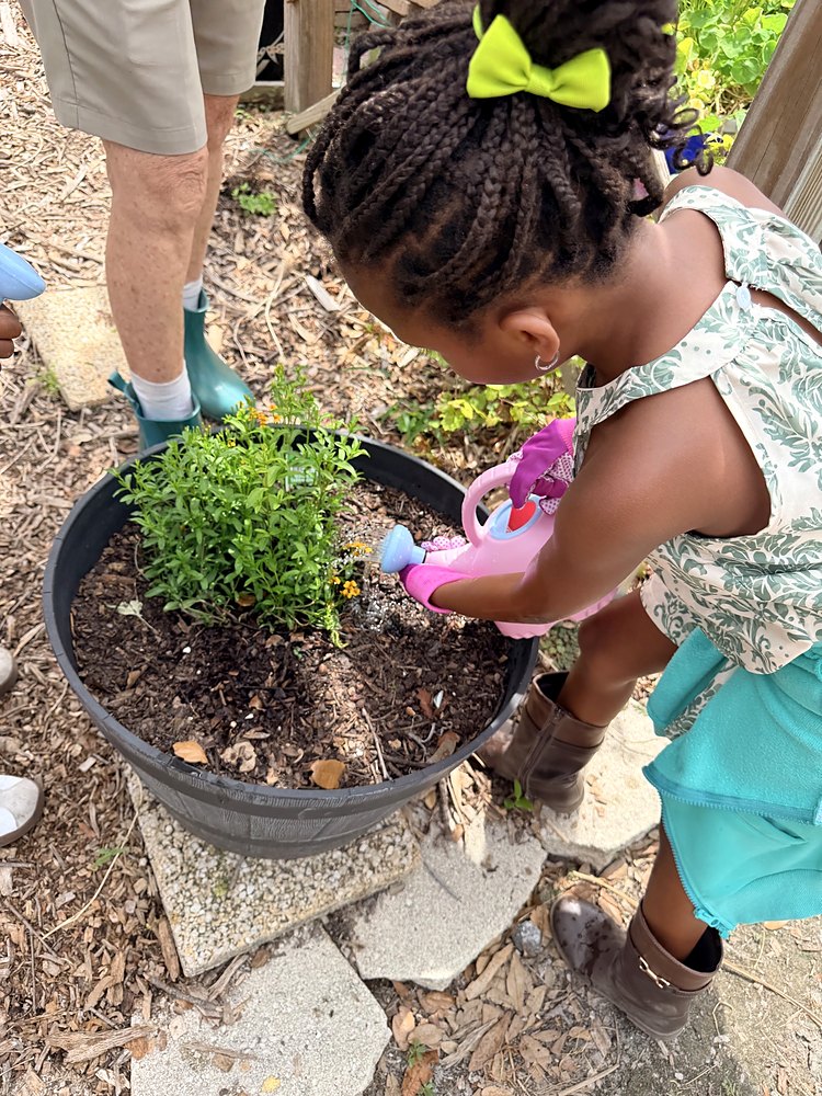 A child watering a plant in a community garden