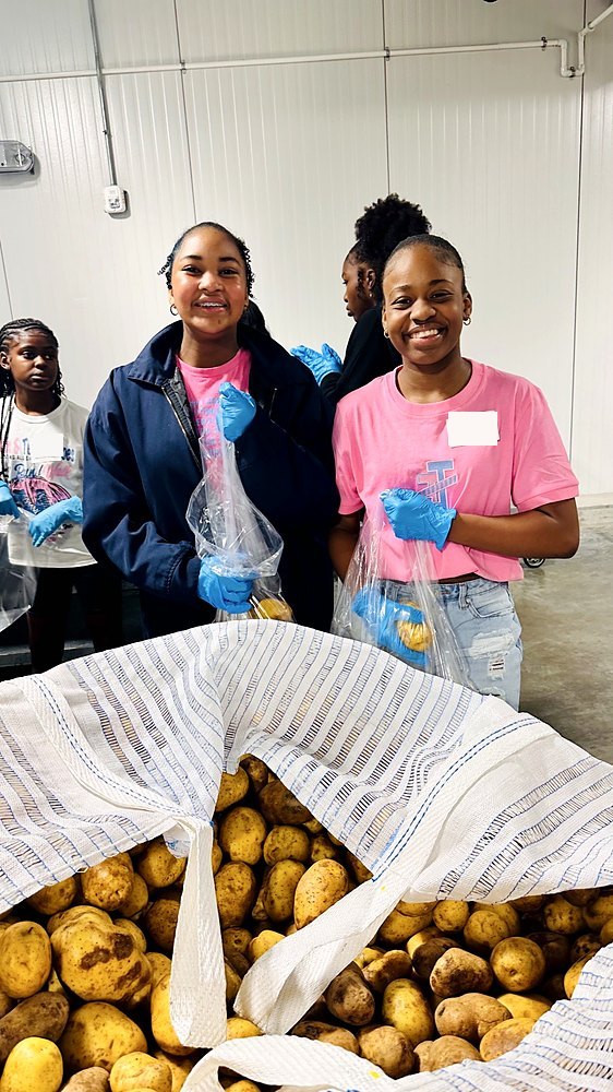 Teens sorting potatoes at a food bank